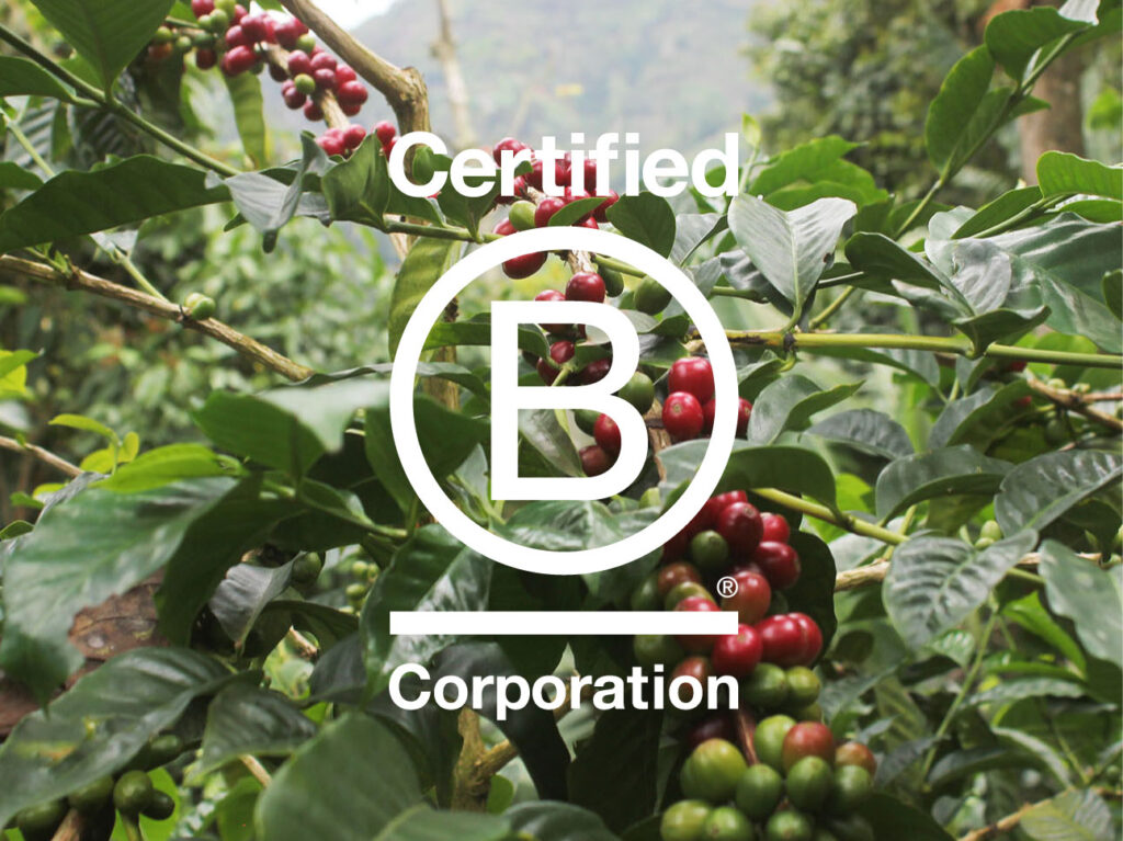 b-corp-image